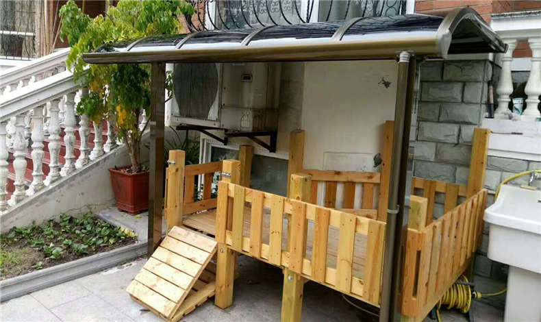 新穎時尚的寵物雨棚